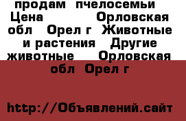 продам  пчелосемьи › Цена ­ 3 500 - Орловская обл., Орел г. Животные и растения » Другие животные   . Орловская обл.,Орел г.